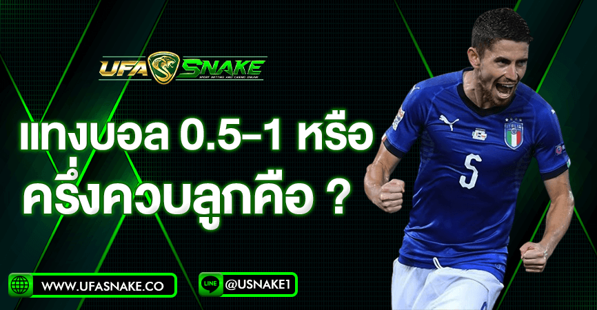 แทงบอล-0.5-1-คือ