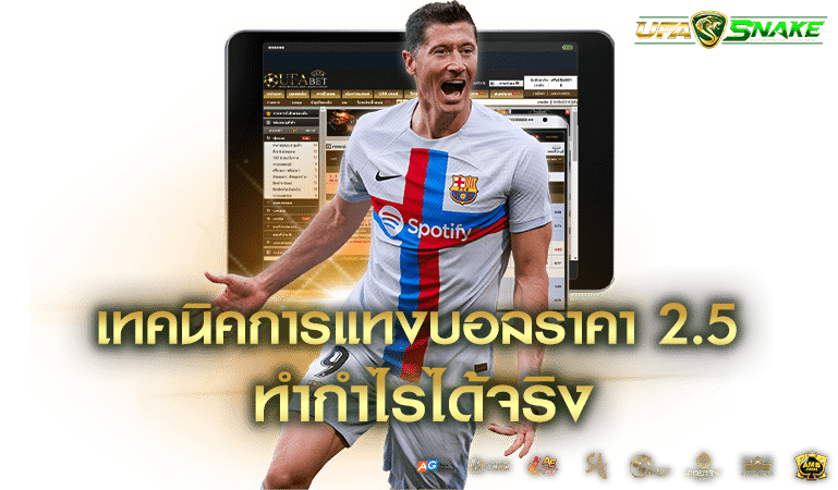 เทคนิคการแทงบอลราคา 2.5